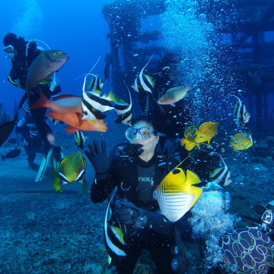 Green Island Ocean Rhythem Dive B&B 綠島海韻民宿 Eksteriør billede
